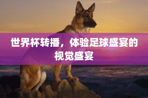 世界杯转播，体验足球盛宴的视觉盛宴