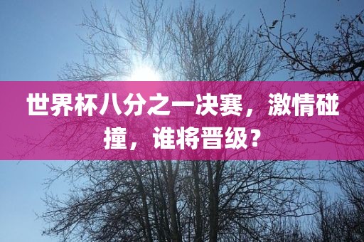 世界杯八分之一决赛，激情碰撞，谁将晋级？