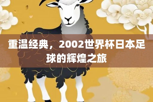 重温经典，2002世界杯日本足球的辉煌之旅