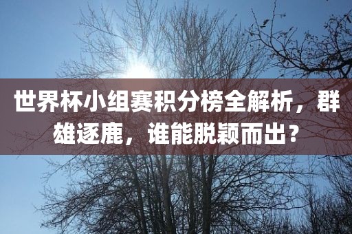 世界杯小组赛积分榜全解析，群雄逐鹿，谁能脱颖而出？