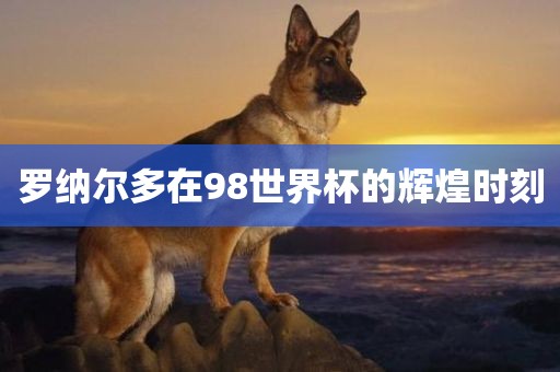 罗纳尔多在98世界杯的辉煌时刻