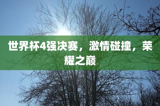 世界杯4强决赛，激情碰撞，荣耀之巅