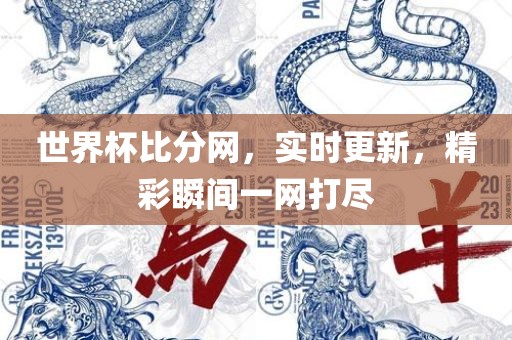 世界杯比分网，实时更新，精彩瞬间一网打尽