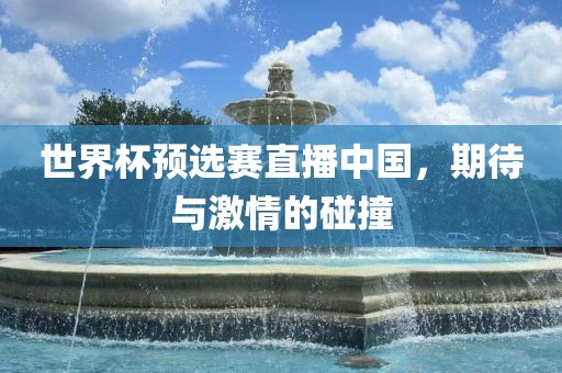 世界杯预选赛直播中国，期待与激情的碰撞