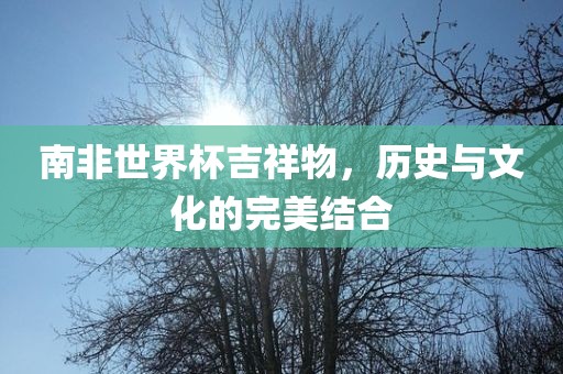 南非世界杯吉祥物，历史与文化的完美结合