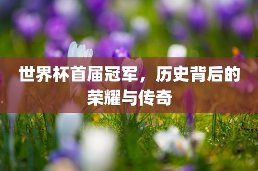 世界杯首届冠军，历史背后的荣耀与传奇