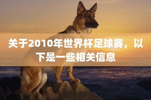 关于2010年世界杯足球赛，以下是一些相关信息