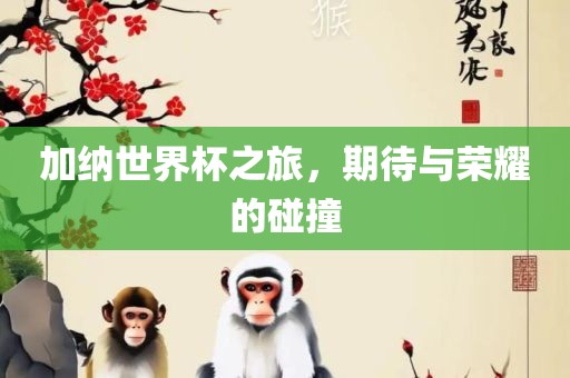 加纳世界杯之旅，期待与荣耀的碰撞