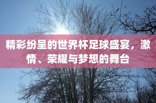 精彩纷呈的世界杯足球盛宴，激情、荣耀与梦想的舞台