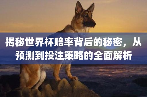 揭秘世界杯赔率背后的秘密，从预测到投注策略的全面解析