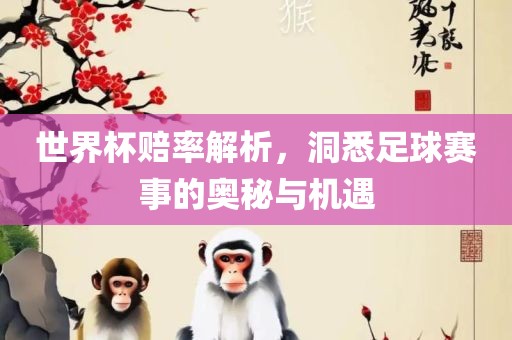 世界杯赔率解析，洞悉足球赛事的奥秘与机遇