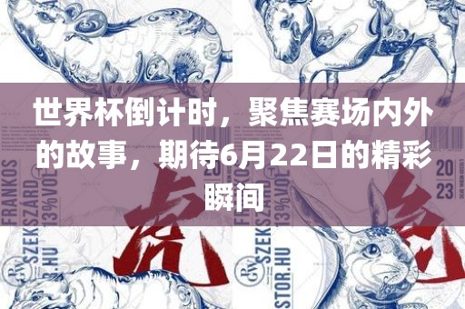 世界杯倒计时，聚焦赛场内外的故事，期待6月22日的精彩瞬间