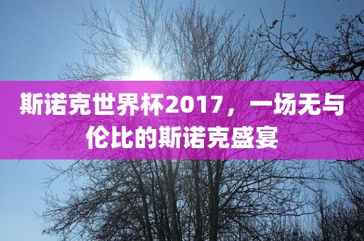 斯诺克世界杯2017，一场无与伦比的斯诺克盛宴
