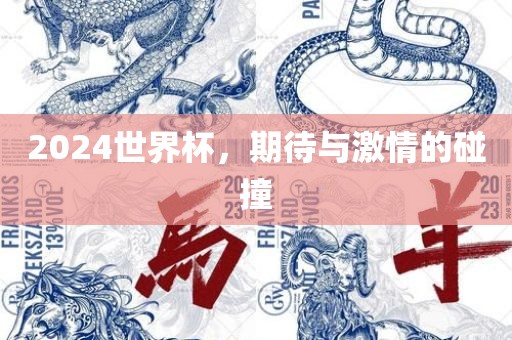 2024世界杯，期待与激情的碰撞