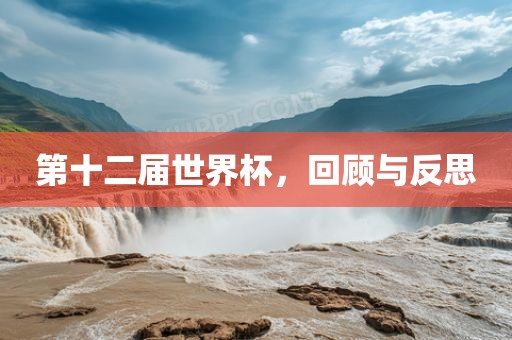 第十二届世界杯，回顾与反思