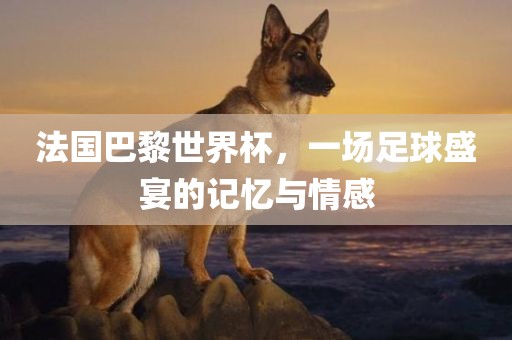 法国巴黎世界杯，一场足球盛宴的记忆与情感