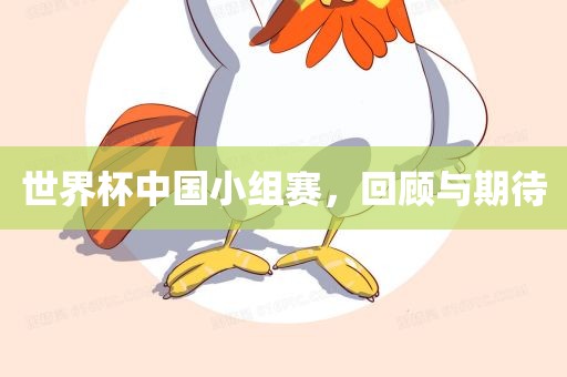 世界杯中国小组赛，回顾与期待