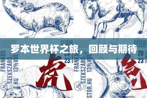 罗本世界杯之旅，回顾与期待