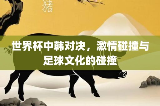 世界杯中韩对决，激情碰撞与足球文化的碰撞