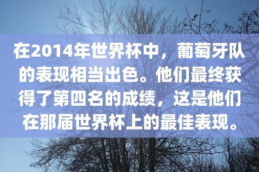 在2014年世界杯中，葡萄牙队的表现相当出色。他们最终获得了第四名的成绩，这是他们在那届世界杯上的最佳表现。