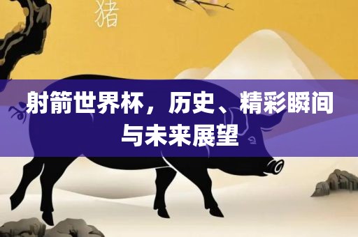 射箭世界杯，历史、精彩瞬间与未来展望