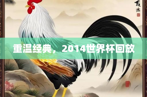 重温经典，2014世界杯回放