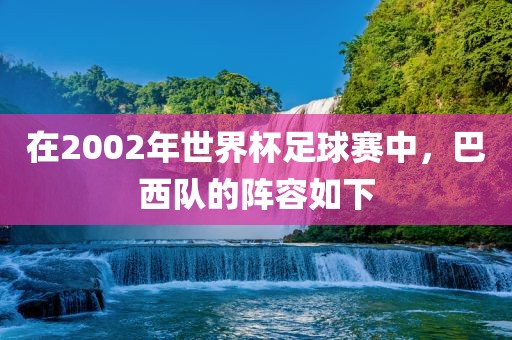 在2002年世界杯足球赛中，巴西队的阵容如下