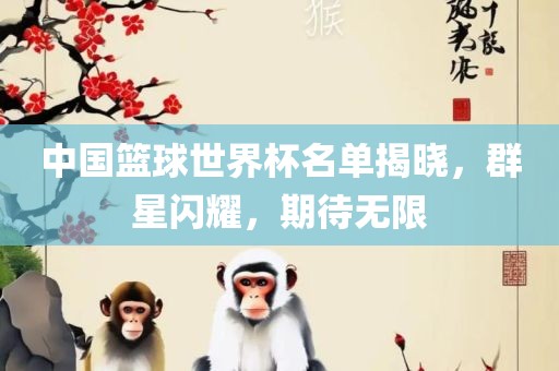 中国篮球世界杯名单揭晓，群星闪耀，期待无限