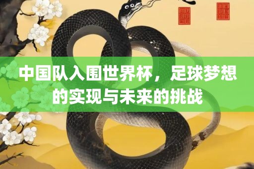 中国队入围世界杯，足球梦想的实现与未来的挑战
