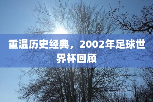 重温历史经典，2002年足球世界杯回顾