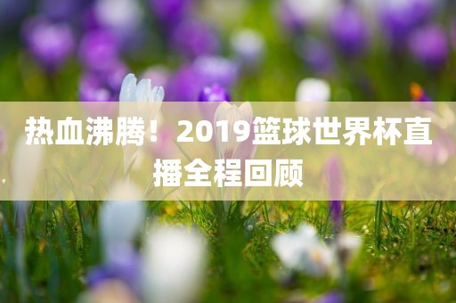 热血沸腾！2019篮球世界杯直播全程回顾