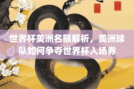 世界杯美洲名额解析，美洲球队如何争夺世界杯入场券