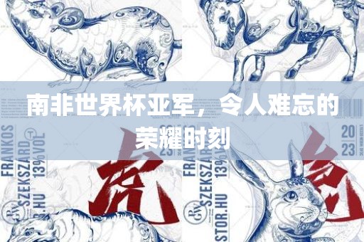 南非世界杯亚军，令人难忘的荣耀时刻