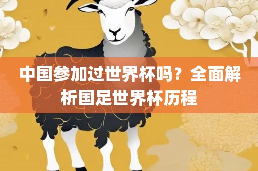 中国参加过世界杯吗？全面解析国足世界杯历程
