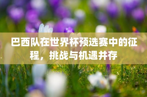 巴西队在世界杯预选赛中的征程，挑战与机遇并存