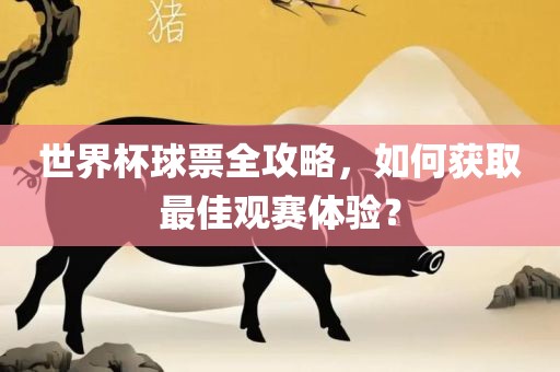 世界杯球票全攻略，如何获取最佳观赛体验？