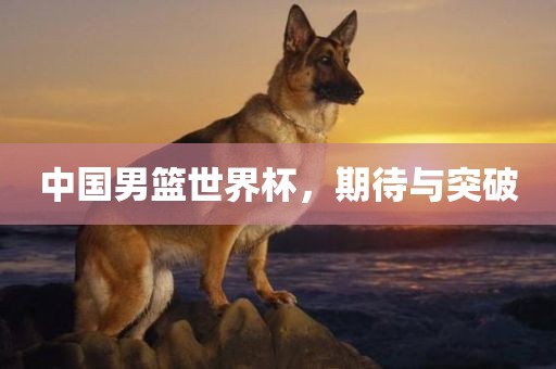 中国男篮世界杯，期待与突破