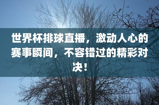 世界杯排球直播，激动人心的赛事瞬间，不容错过的精彩对决！
