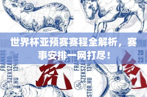 世界杯亚预赛赛程全解析，赛事安排一网打尽！
