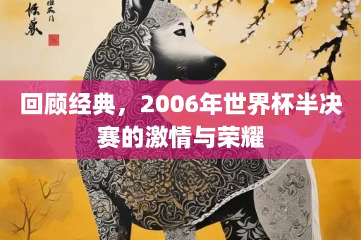回顾经典，2006年世界杯半决赛的激情与荣耀