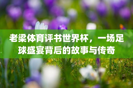 老梁体育评书世界杯，一场足球盛宴背后的故事与传奇