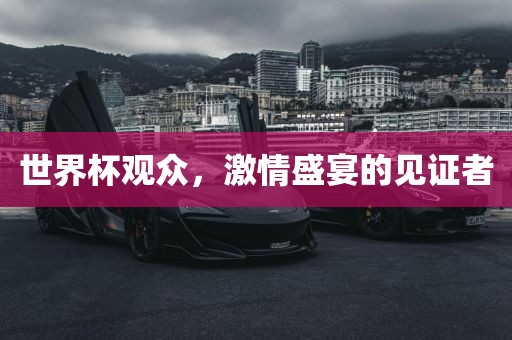 世界杯观众，激情盛宴的见证者