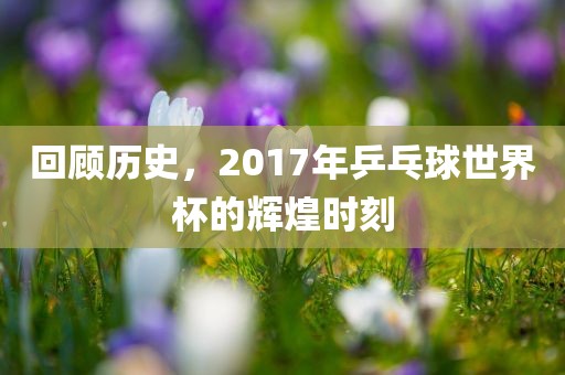 回顾历史，2017年乒乓球世界杯的辉煌时刻