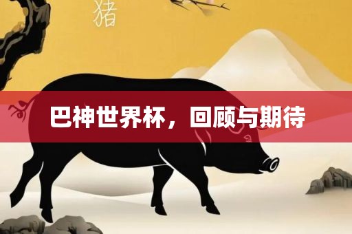 巴神世界杯，回顾与期待
