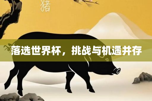 落选世界杯，挑战与机遇并存