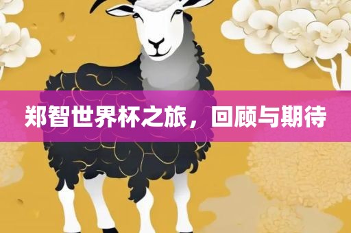 郑智世界杯之旅，回顾与期待