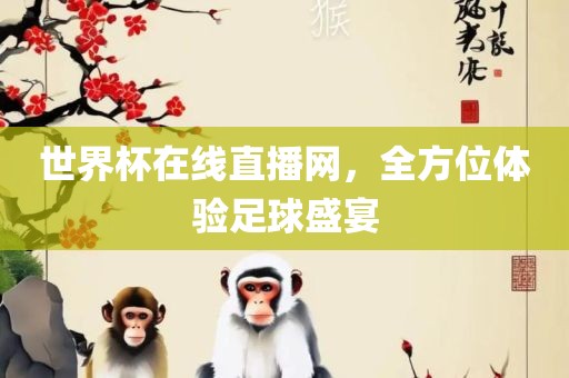 世界杯在线直播网，全方位体验足球盛宴