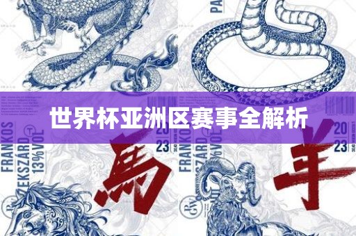 世界杯亚洲区赛事全解析