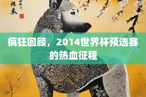 疯狂回顾，2014世界杯预选赛的热血征程