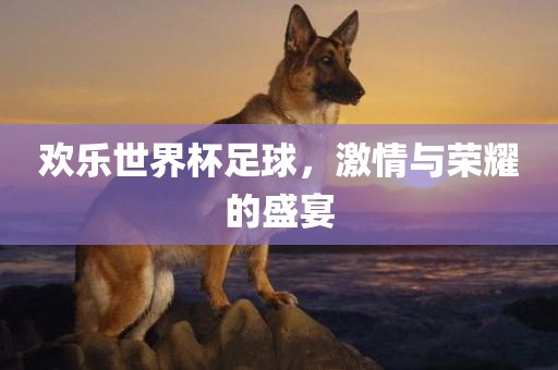 欢乐世界杯足球，激情与荣耀的盛宴